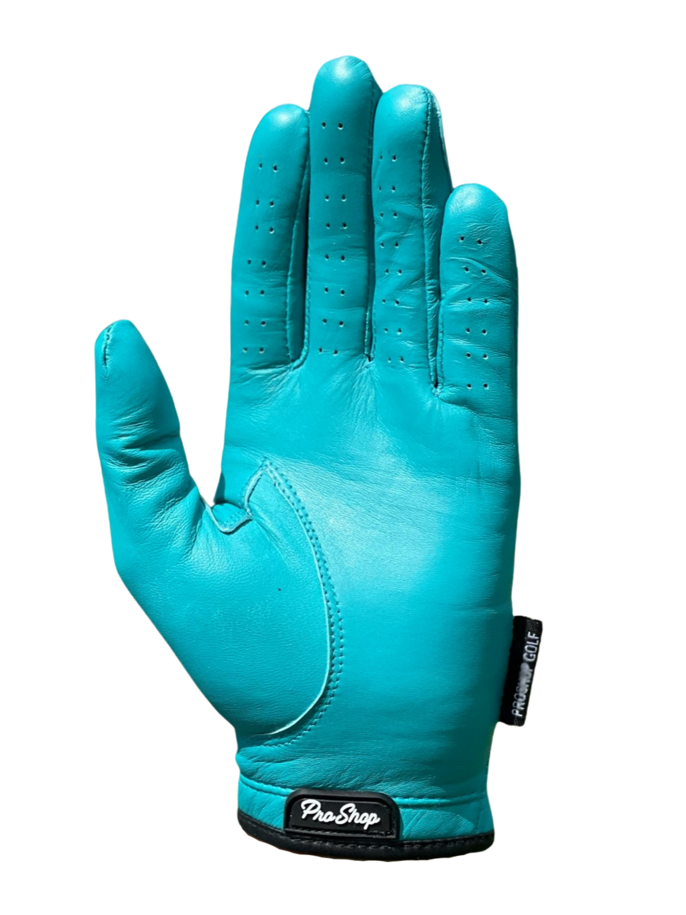The Signature Glove